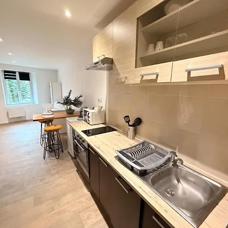 Apartmán C Coispine En Rdc Face A La Meuse Charleville-Mézières
