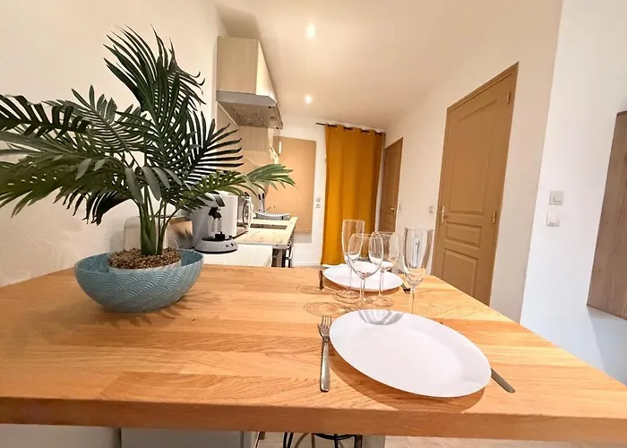 C Coispine En Rdc Face à La Meuse Appartamento *