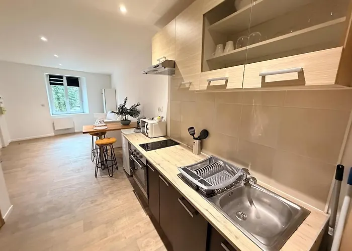 Apartmán C Coispine En Rdc Face A La Meuse Charleville-Mézières